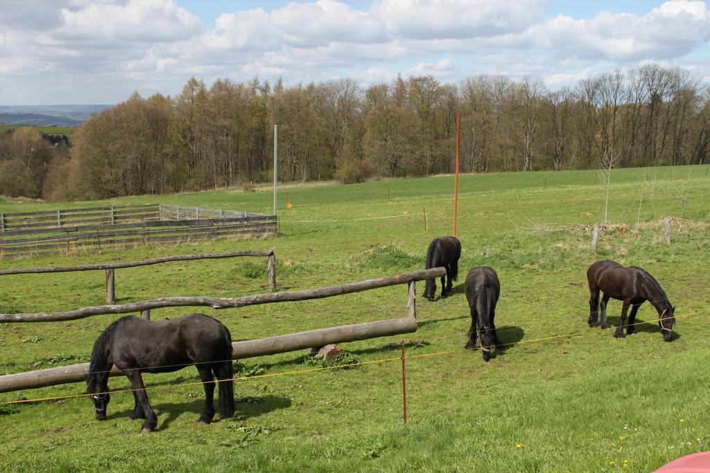 Kutschergasthof Am Sonnenstein Kültér fotó